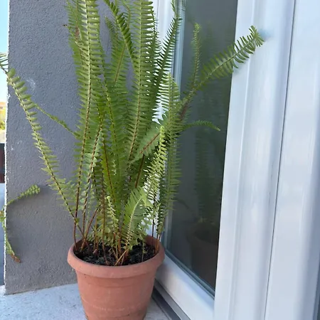 Apartamento M'hutel *